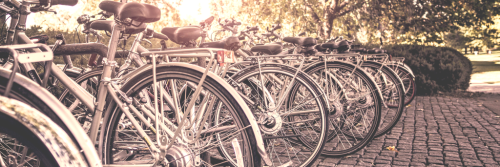 Image for Electric Bikes 